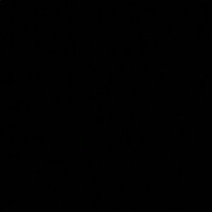 Meet your Posher, Maceo